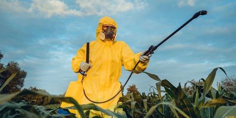 5 Biggest Pesticide Companies Are Making Billions From 'Highly Hazardous' Chemicals, Investigation Finds - EcoWatch.com | Agents of Behemoth | Scoop.it