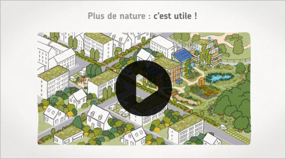 Vidéo - L'Instant Nature de Natureparif - Et si l’on pensait les villes et les bâtiments comme des écosystèmes ? | Veille territoriale AURH | Scoop.it