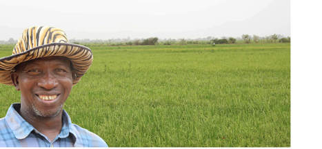 MALI: Off-Season Rice Fends off Malian Farmers from Climate Stress  |  CORAF / WECARD | SRI Global News: February - April 2024 **sririce -- System of Rice Intensification | Scoop.it