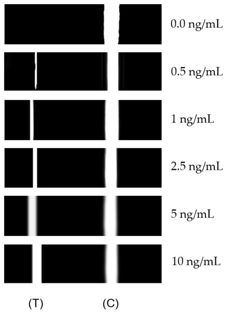 Cellulose-based LFA for Detection of Cystatin C | iBB | Scoop.it