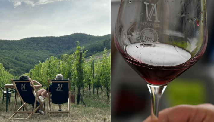 Grands crus et transats dans les vignes : dès le 2 juin, la Tournée des terroirs sillonne l'Alsace | Thématique Gastronomie et Oeno | Scoop.it