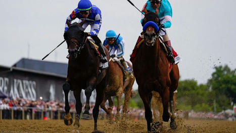 Baffert back from ban, wins Preakness with National Treasure after another horse euthanized | Racing News | Scoop.it