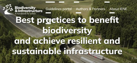 Un guide pour réconcilier infrastructures et biodiversité   | Paysage - Agriculture | Scoop.it