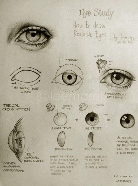 Eye Drawing Reference Guide | Drawing References and Resources | Scoop.it