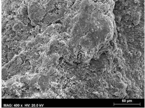 Effects of Clay's Chemical Interactions on Biocementation | iBB | Scoop.it