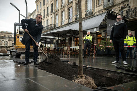 Transition écologique : le couple maire et préfet en première ligne de l’adaptation | Vers la transition des territoires ! | Scoop.it