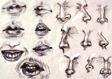 Study - Mouth and Nose | Drawing and Painting Tutorials | Scoop.it
