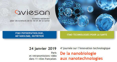 Colloque Innovations technologiques : de la nanobiologie aux nanotechnologies - 24 janvier 2019 - ITMO PMN et TS | Life Sciences Université Paris-Saclay | Scoop.it