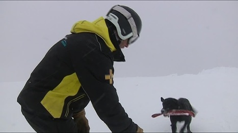 Saint-Lary Soulan : pisteurs et chiens d’avalanche sur les pistes pour inciter les skieurs à la prudence  | Vallées d'Aure & Louron - Pyrénées | Scoop.it