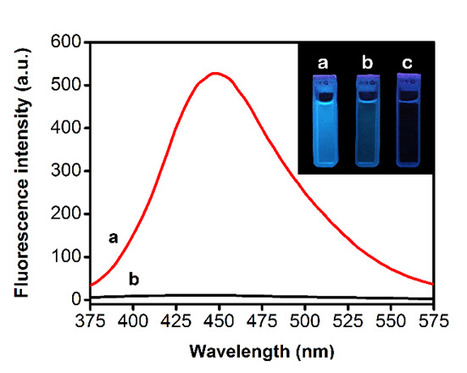 Synthesis of Fluorescent Water-Soluble Block Co-polymers | iBB | Scoop.it