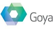 Excel Plugin for FileMaker | Goya | Learning Claris FileMaker | Scoop.it