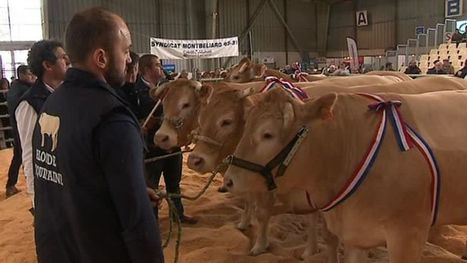 Au salon agricole de Tarbes, rencontre des professionnels de la viande autour du label HaPy Saveurs | Vallées d'Aure & Louron - Pyrénées | Scoop.it