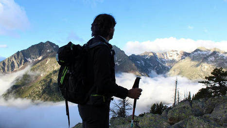 Parc national des Pyrénées : des médiateurs "dans un contexte de prédation ours-loup" | Vallées d'Aure & Louron - Pyrénées | Scoop.it