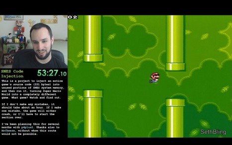 L’injection de code arbitraire, ou comment jouer à Flappy Bird dans Super Mario | UseNum - Jeux | Scoop.it