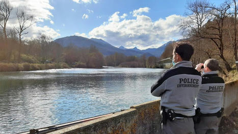 L’Office de la Biodiversité au chevet du saumon atlantique | Vallées d'Aure & Louron - Pyrénées | Scoop.it