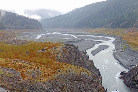 Why the World’s Rivers Are Losing Sediment and Why It Matters | BIODIVERSITY IS LIFE  – | Scoop.it