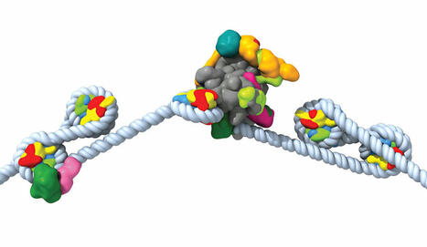 Q&A: How machine learning is propelling structural biology | SynBioFromLeukipposInstitute | Scoop.it