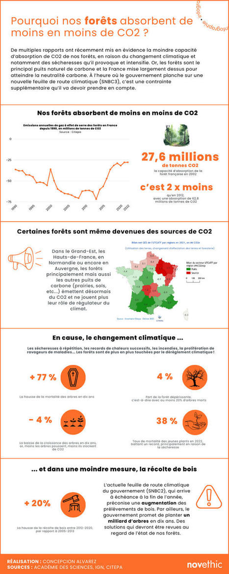 Infographie : Nos forêts absorbent de moins en moins de CO2 et pourraient devenir un obstacle à la neutralité carbone | Vers la transition des territoires ! | Scoop.it