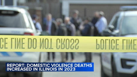 Domestic violence deaths increased more than double in Illinois in 2023, Illinois Coalition Against Domestic Violence report shows - ABC7Chicago.com | The Curse of Asmodeus | Scoop.it