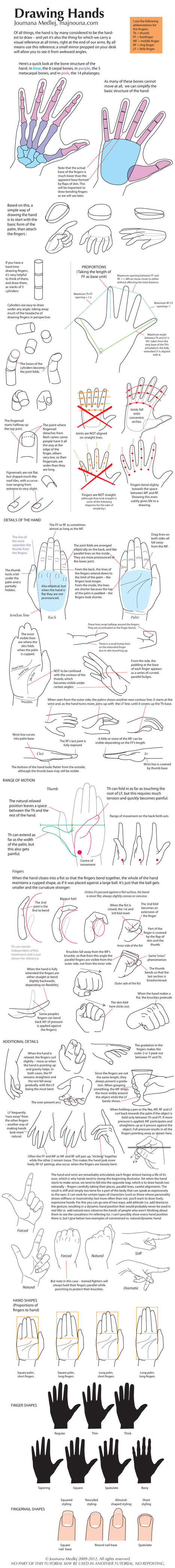 Drawing Hands - Hand Drawing Reference | Drawing References and Resources | Scoop.it