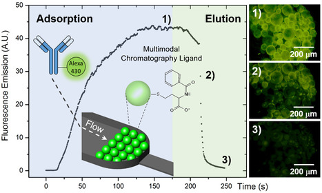 High-Throughput Nanoscale Chromatography | iBB | Scoop.it