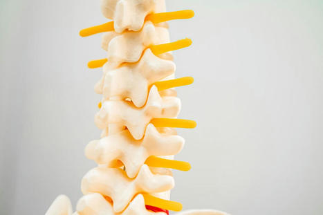 Intervertebral Foramen: The Gateway to Spine Health | Call: 915-850-0900 or 915-412-6677 | Spine Health & Spinal Hygiene | Scoop.it