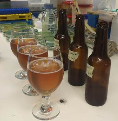 Beer Tasting at BSRG-iBB | iBB | Scoop.it