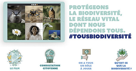 #Tousbiodiversité - Campagne de sensibilisation à la préservation de la biodiversité | Biodiversité | Scoop.it