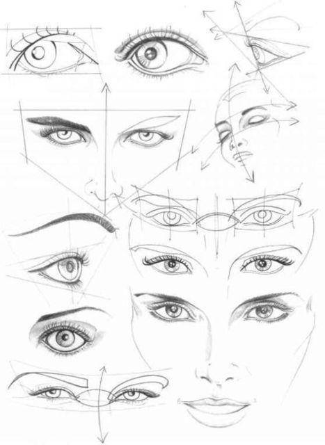 Human Face Drawing Reference Guide | Drawing References and Resources | Scoop.it