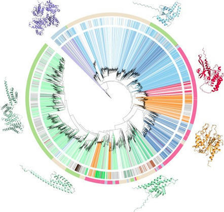 The Plant Cell: N-terminal domains of NLR immune receptors exhibit structural and functional similarities across divergent plant lineages (2024) | Publications | Scoop.it