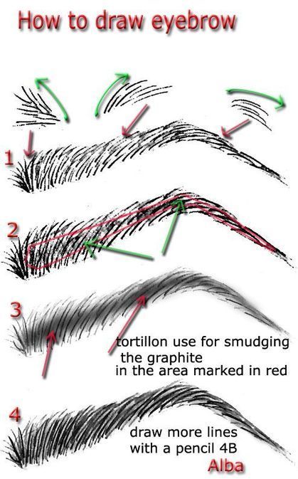 Eyebrow Drawing Reference Guide | Drawing References and Resources | Scoop.it