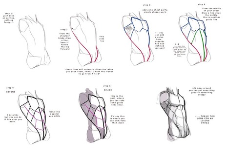 Abs Drawing Reference Guide - Draw the perfect abs | Drawing References and Resources | Scoop.it