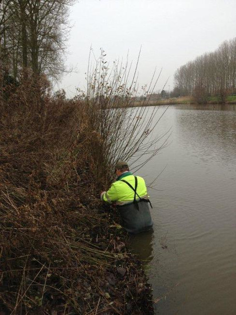 Berges - des saules tressés contre l'érosion | Veille territoriale AURH | Scoop.it