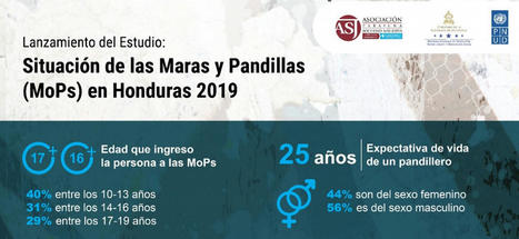 Políticas públicas integrales y multisectoriales para enfrentar el creciente fenómeno de maras y pandillas | EL PNUD en Honduras | Evaluación de Políticas Públicas - Actualidad y noticias | Scoop.it