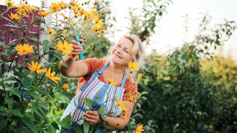 Renforcement du système immunitaire, diminution du stress, perte de calories... Les effets positifs du jardinage sur la santé | Attitude BIO | Scoop.it