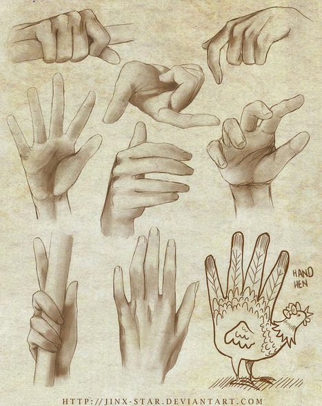 Hand Reference Guide | Drawing References and Resources | Scoop.it
