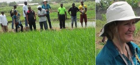 Farmer’s Organization Receives Support, For SRI Practice in Liberia | The Liberian Observer | SRI Global News: February - April 2024 **sririce -- System of Rice Intensification | Scoop.it
