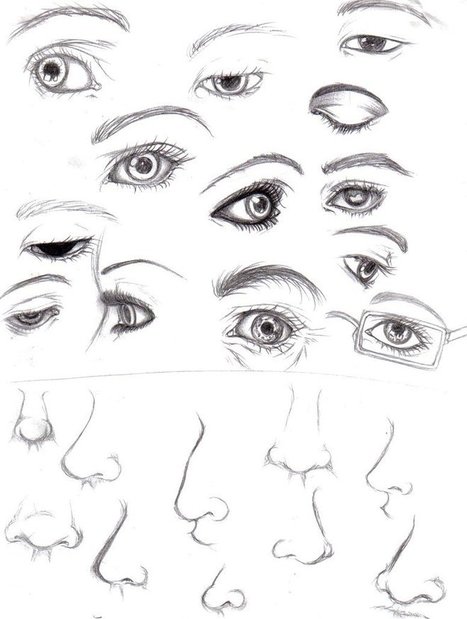 Eyes and Noses | Drawing References and Resources | Scoop.it