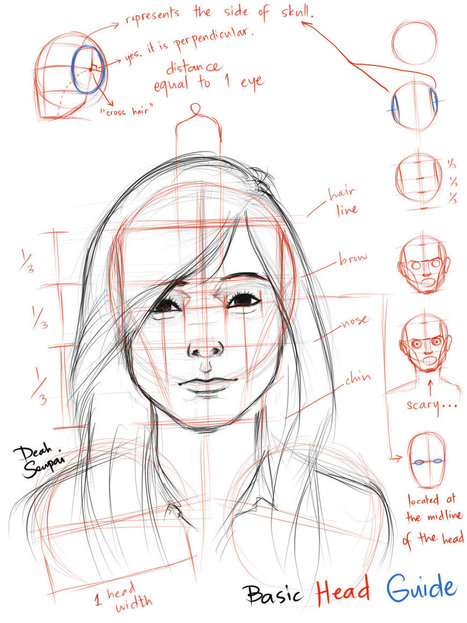 Facial Proportions Reference Guide | Drawing References and Resources | Scoop.it