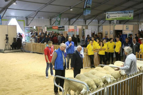 Le Sommet de l’élevage voit grand pour ses 30 ans | Actualité Bétail | Scoop.it