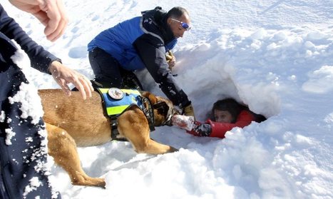 Risque d'avalanche : «La neige est un champ de mine» | Vallées d'Aure & Louron - Pyrénées | Scoop.it