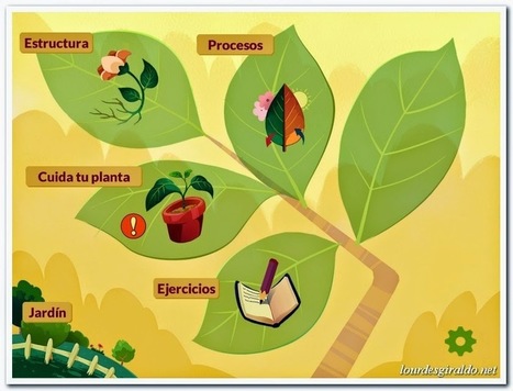 Las plantas en Realidad Aumentada con Arloon Plants - PROYECTO #GUAPPIS | Realidad aumentada en Educación | Scoop.it