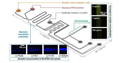 Integration of Sample Preparation and Analyte Detection in a Microfluidic Chip | iBB | Scoop.it