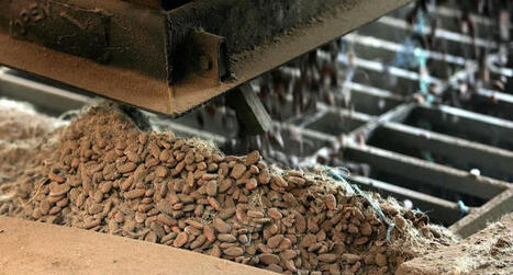 Hershey looks to prioritize sustainable cocoa sourcing | Sustainable Procurement News | Scoop.it