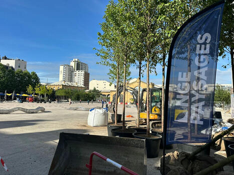 Nancy. La transformation de la place Simone Veil a commencé : voici ce qui vous attend | Lorraine Actu | Nancy, Lorraine | Scoop.it