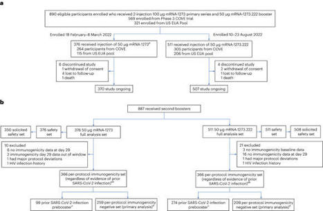 Original SARS-CoV-2 monovalent and Omicron BA.4/BA.5 bivalent COVID-19 mRNA vaccines: phase 2/3 trial interim results | Nature Medicine | Veille Coronavirus - Covid-19 | Scoop.it