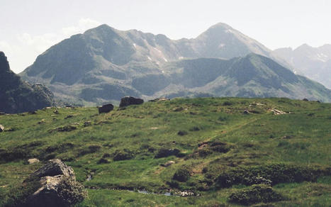 "La montagne n'est pas une carte postale" : bergère VS folklore touristique | Vallées d'Aure & Louron - Pyrénées | Scoop.it