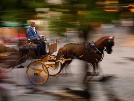 Jim Richardson on Panning to Capture Motion -- National Geographic | Mobile Photography | Scoop.it