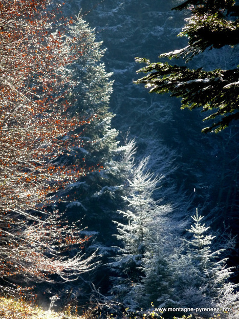 Echappées belles depuis les hauts de Grailhen | Vallées d'Aure & Louron - Pyrénées | Scoop.it