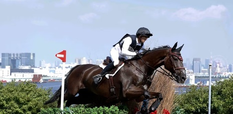 Équitation Paris 2024 : y aura-t-il des chevaux clonés aux JO ? | vetitude | Scoop.it